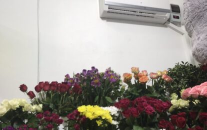 Холодильные витрины для цветов.