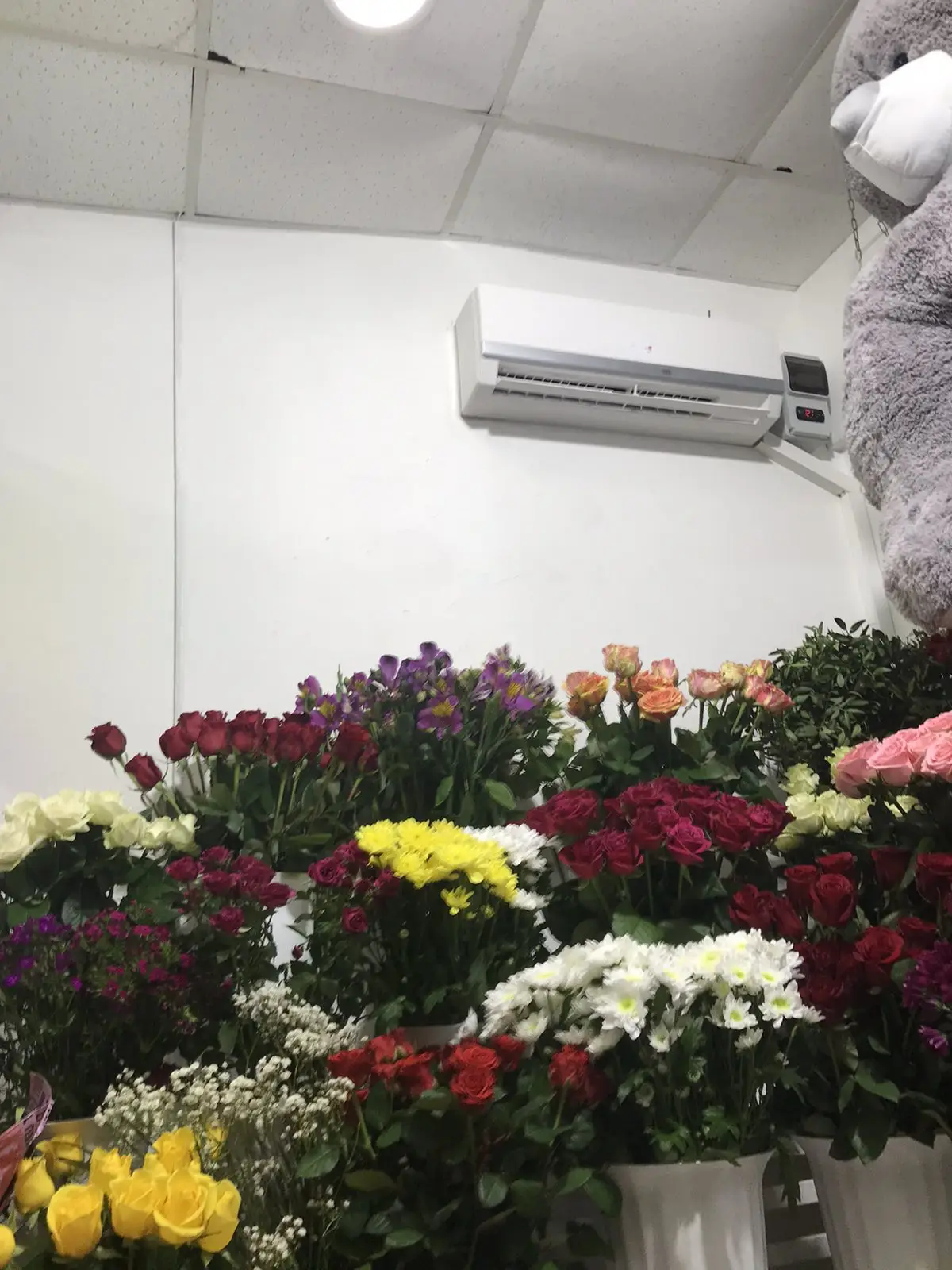 Холодильные витрины для цветов.