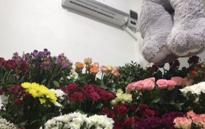 Камера зберігання квітів. Квіткові магазини.