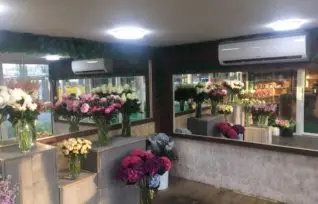 Витрина холодильник для цветов. Система охлаждения цветочной камеры “Flower-clima”