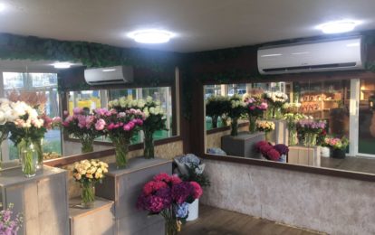 Вітрина холодильник для квітів зі скляними дверима