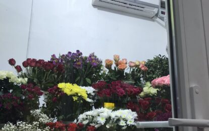 Камера зберігання квітів. Квіткові магазини.