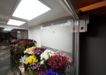 Холодильный агрегат для цветов Flower-Clima серия: Frieze