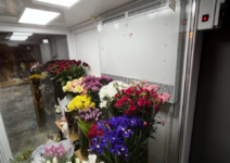 Холодильный агрегат для цветов Flower-Clima серия: Frieze