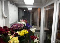 Холодильный агрегат для цветов Flower-Clima серия: Frieze