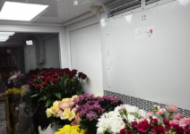 Холодильный агрегат для цветов Flower-Clima серия: Frieze