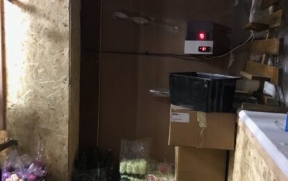 Камера зберігання квітів. Квіткові магазини.