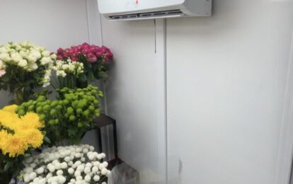 Камера зберігання квітів. Квіткові магазини.
