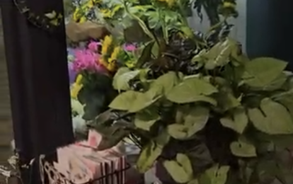 Камера зберігання квітів. Квіткові магазини.