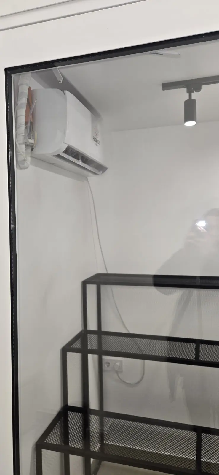 Холодильные витрины для цветов.