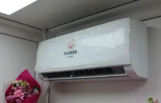 інстальований кондиціонер Flower Clima біля квіткових композицій у магазині