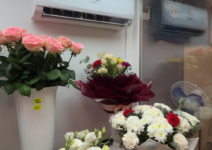 кондиционер Flower Clima для цветов как альтернатива промышленным холодильным системам