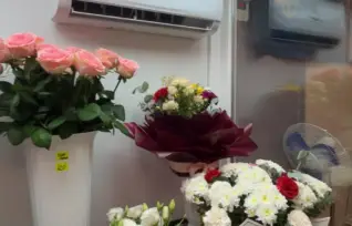 Flower Clima кондиціонер для квітів як альтернатива промисловим холодильним системам