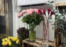 система кондиционирования Flower Clima для хранения цветов в холодильной камере