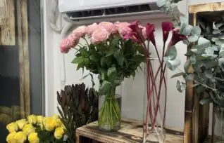 система кондиціонування Flower Clima для зберігання квітів у холодильній камері